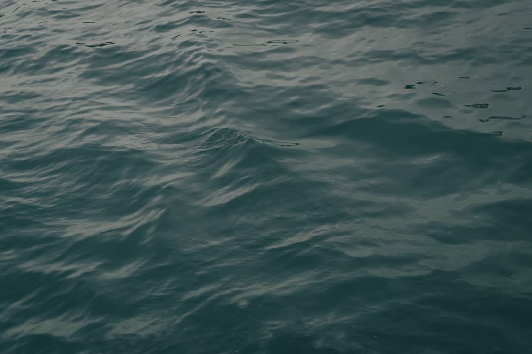 How To Let Go and Let Things Be