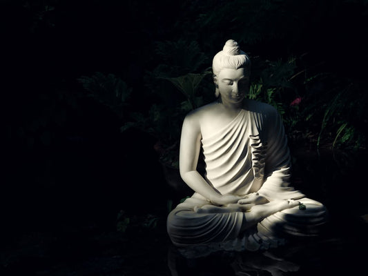 How To Let Go Of Ego Buddhism