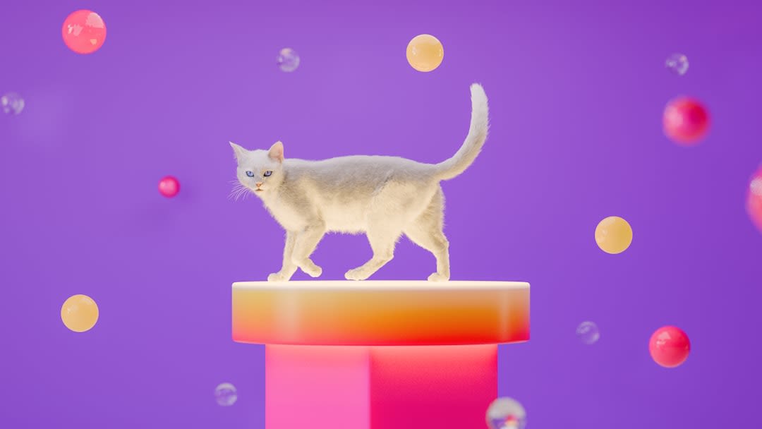 How To Let Go Of Pets In Prodigy 2026