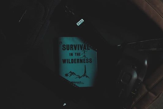 How To Let Go Of Survival Mode