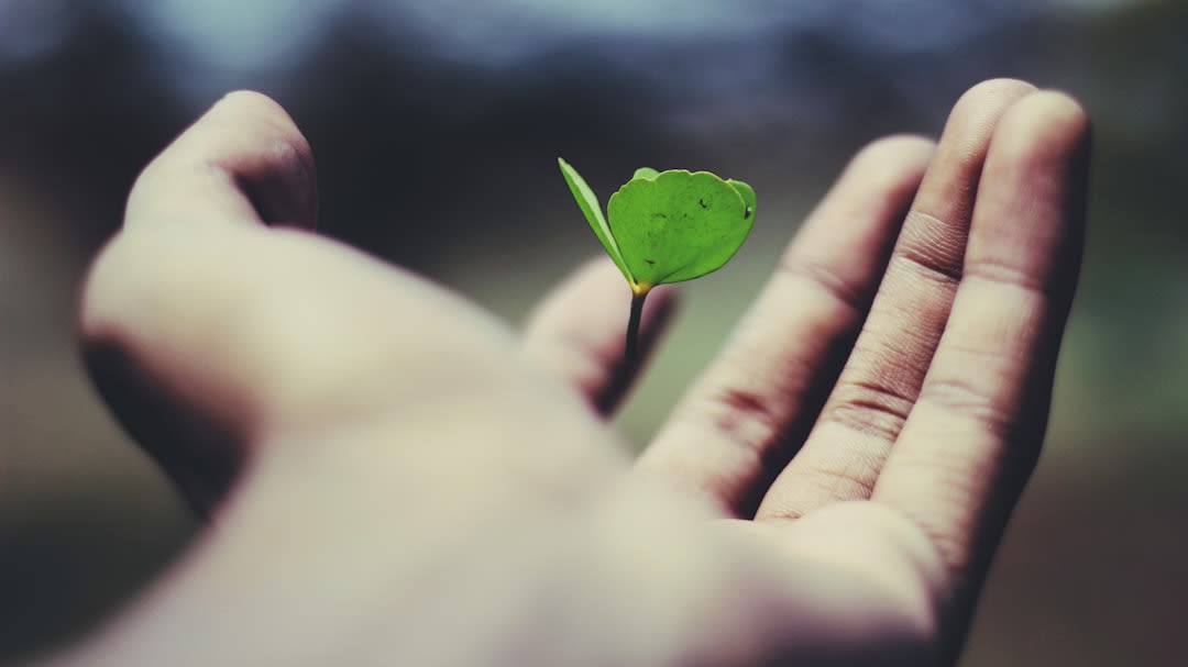 How To Let Go Of What No Longer Serves You