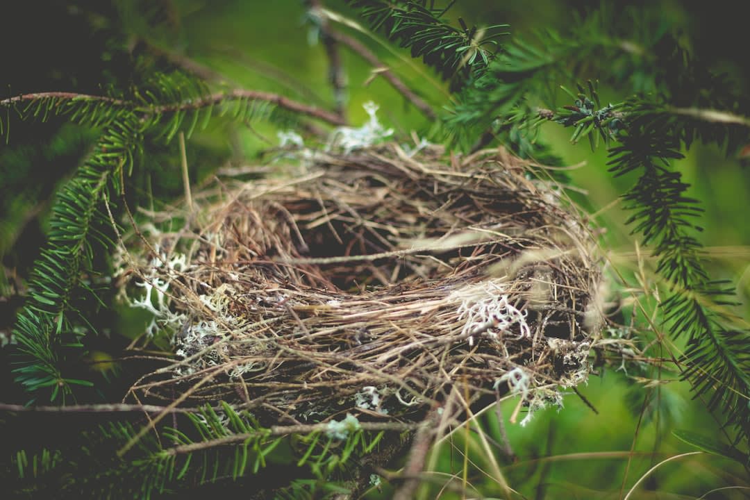 How To Let Go When Your Child Leaves Home