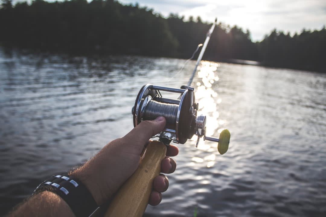 Psychology Behind Catfishing