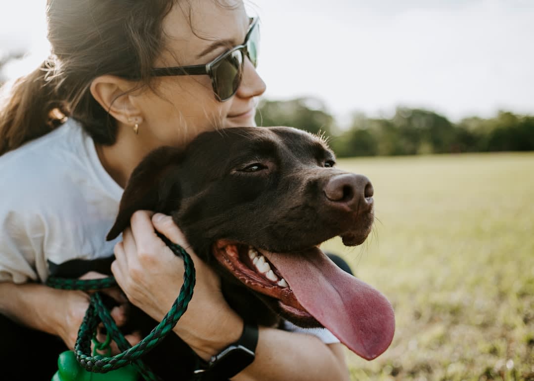 Psychology Behind Dog Lovers