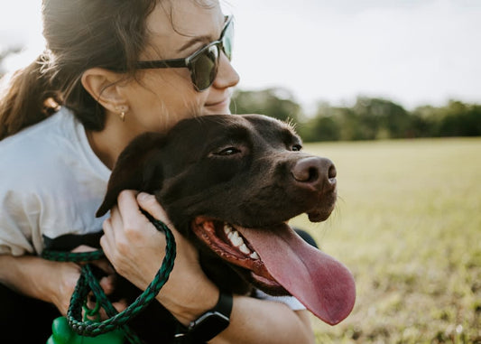 Psychology Behind Dog Lovers