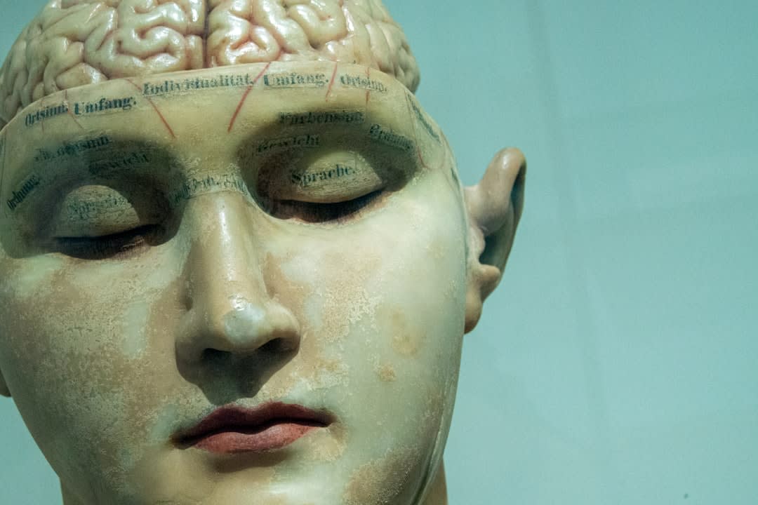 Psychology Behind Extreme Body Modification