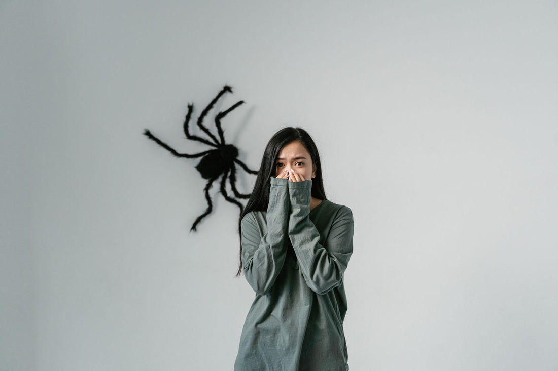 Psychology Behind Fear Of Spiders