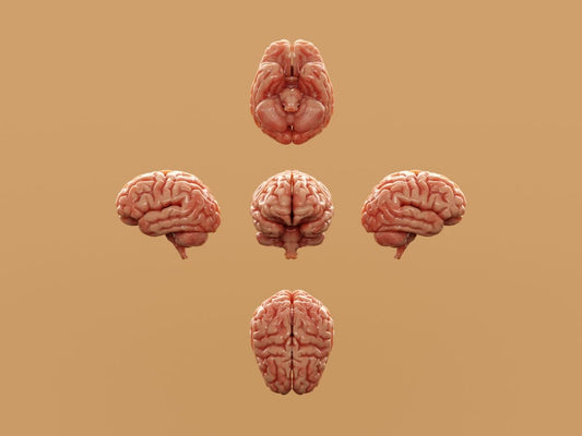 Psychology Behind High Body Count