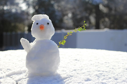 Psychology Behind Snow Bunnies