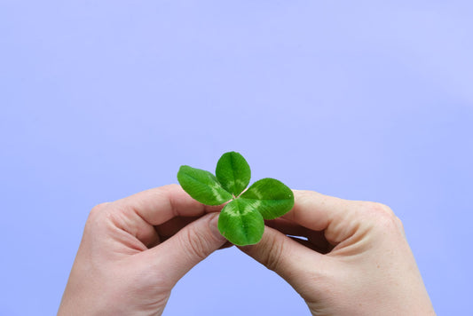 Psychology Behind Superstitions