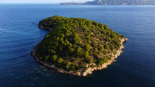 Psychology Behind Temptation Island