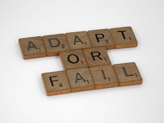 What To Say About Adaptability