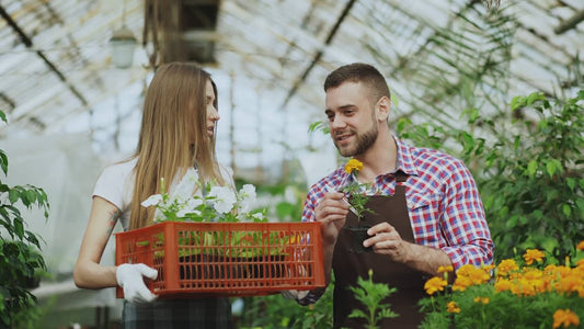 What To Say About Agriculture