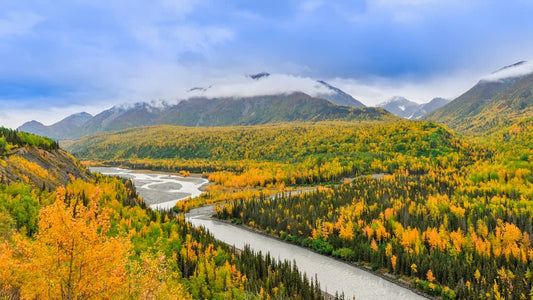 What To Say About Alaska