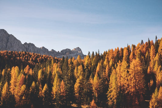 What To Say About Autumn