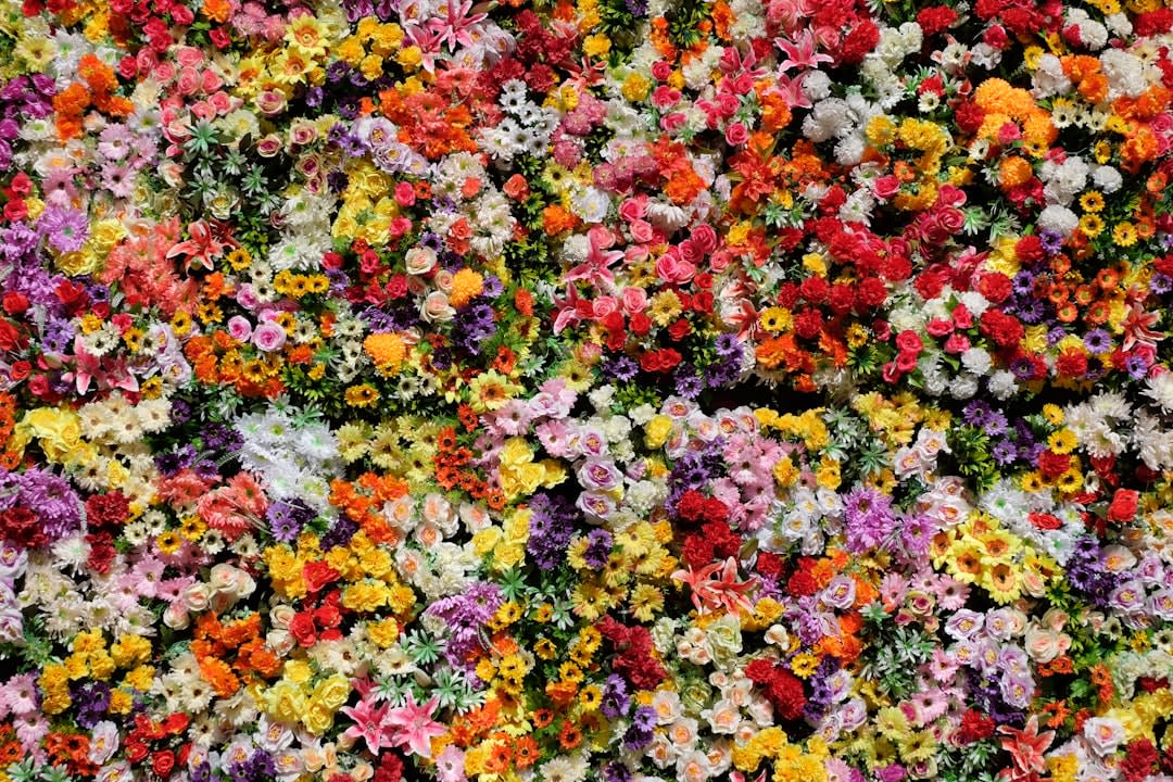 What To Say About Beautiful Flowers