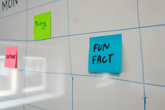 What To Say About Fun Facts About Yourself