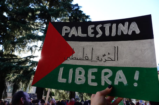 What To Say About Palestine