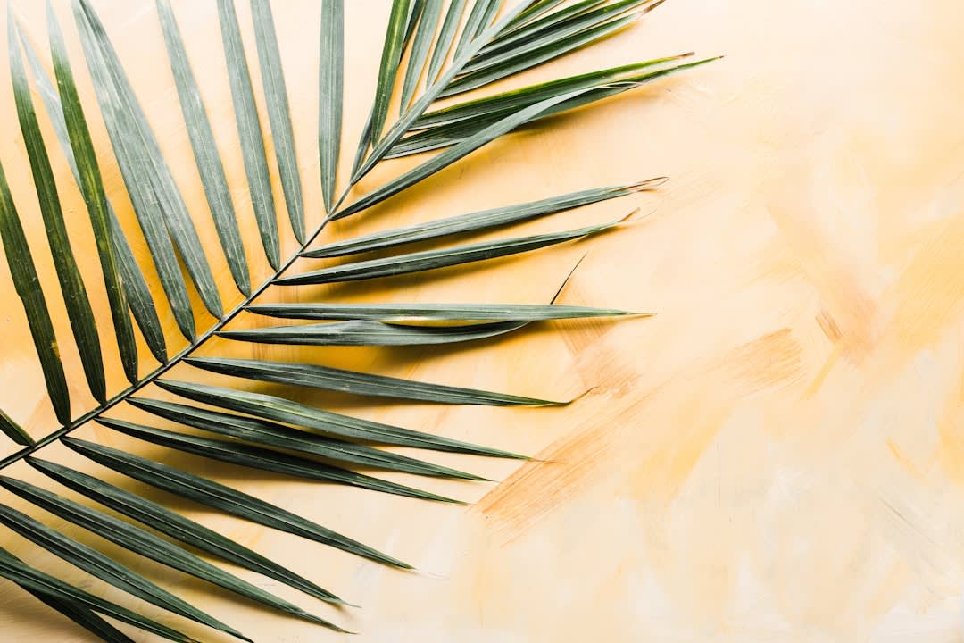 What To Say About Palm Sunday