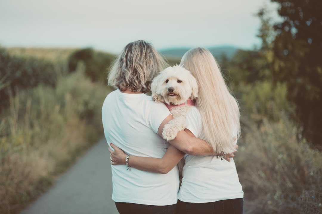 What To Say About Pet Death
