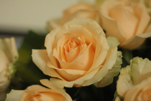 What To Say About Roses