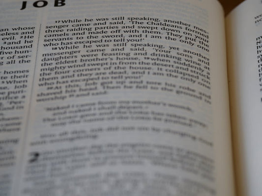 What To Say About Someone for A Job Reference