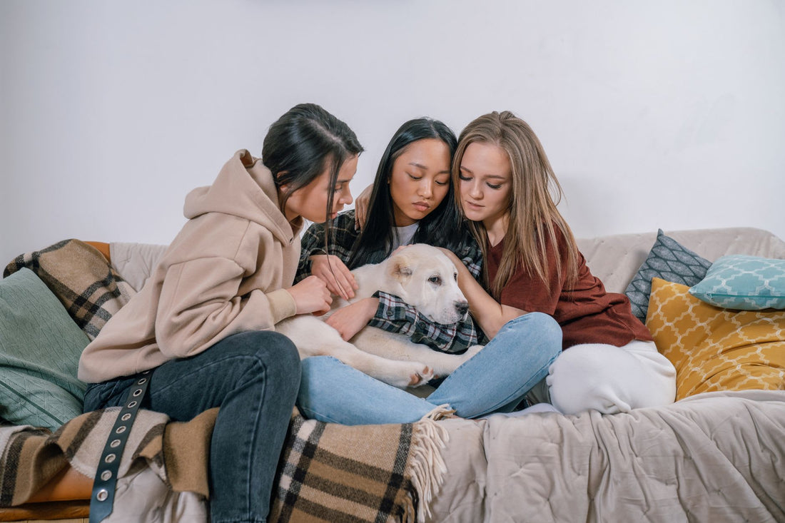 What To Say About The Loss Of A Dog