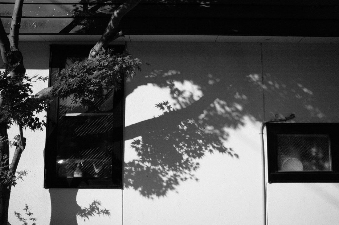 What To Say About Tsuno Ac Shadows