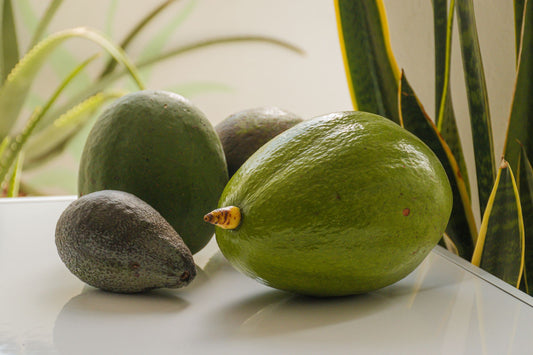 What To Say Avocado In Hindi