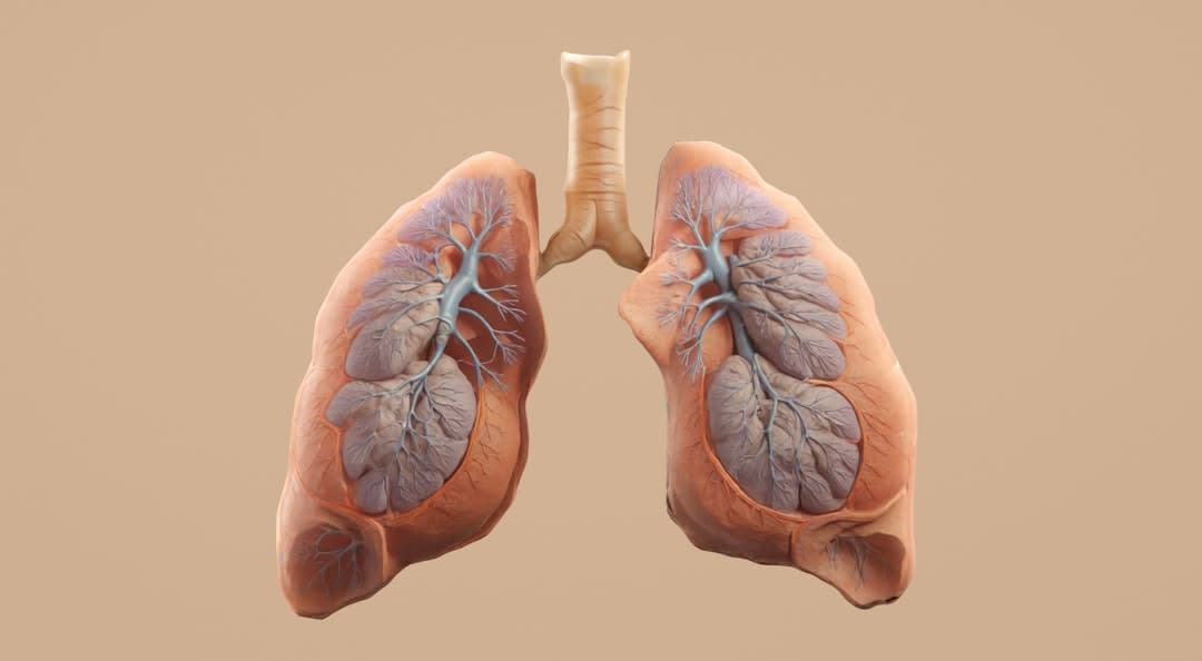 What To Say To Someone Recovering From Pneumonia