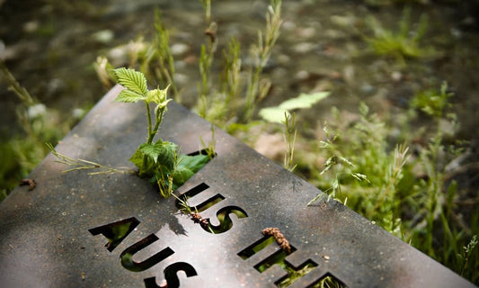 What To Say When Scattering Ashes Uk