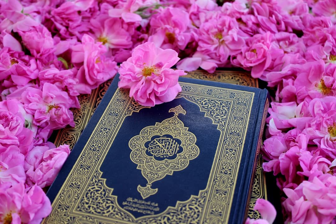 What To Say When Someone Dies In Islam